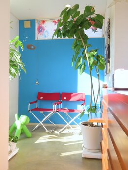 ヘアー アーク(hair ark)の写真/【西区/小新】住宅街で見つけたあなただけの癒しサロン*日頃忙しいママ・パパをもっと癒し、もっときれいに