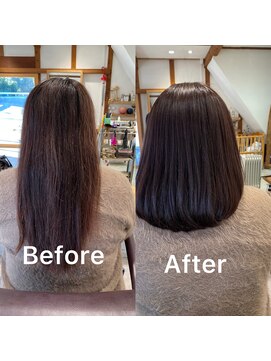 サトシオダクラ(SATOSHI ODAKURA) 艶カラー×前上がりミディ