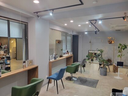 テラ(Terra)の写真