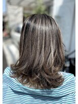 ライオン(Lion)&nbsp;レイヤー入りグレイヘアハイライト