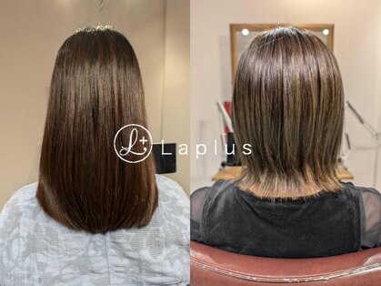 ラプラス(Laplus)の写真