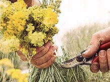 ちょこっと空いた時間や、ご自身へのご褒美として…