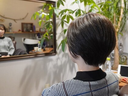 トワニ(to＆..)の写真