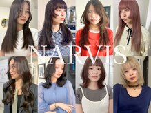ナービス(NARVIS)