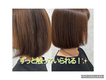 シュガーレジュ(sugarreju)の写真