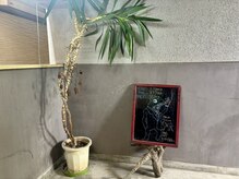 代(SHIRO)の雰囲気(=天文館市役所前から徒歩2分=)