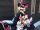クープヘアー(Coupe hair)の写真/成人式、卒業式、入学式、結婚式など特別な晴れの日にはぜひ、クープヘアーへ☆