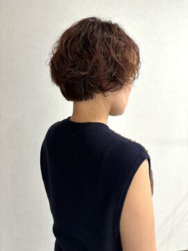 ヘア スノー(HAIR SNOW) アプリコットカラー