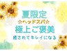 【夏限定☆極上ご褒美】ヘッドスパ60分 ¥10950→¥8800
