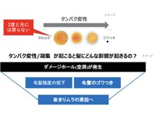 【　超重要な事実　『なぜあなたの髪に悩みが生まれているのか？』　まずはその原因からご説明します！　】