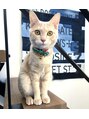 ヴィーダ(VIDA)&nbsp;保健所の保護猫を譲渡してもらいました。家族でメロメロです！