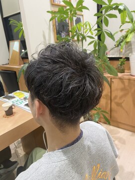 シャンプーボーイ ヒノ(SHAMPOO BOY Hino) ハイライト×グレー