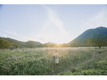 iIIL　【イール】　