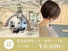 スペックホルダー(Spec Holder)