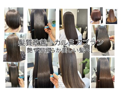 カルミアブラン(Kalmia blanc)の写真