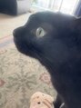レイ 千葉(Lei) 猫好きです!