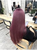 ピンクラベンダー