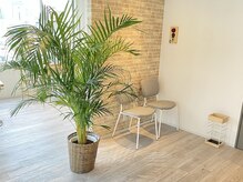 Lisse hairの雰囲気(家族やお子様を連れてお待ちいただくことも可能です☆)