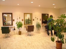 ヘアーサロン グラッド(HAIR SALON gladd)の雰囲気（緑が散りばめられた店内で癒されます♪）