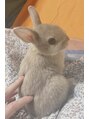 リゴレット 春日部東口店(RIGOLETTO)&nbsp;かわいいかわいいうさぎちゃんを飼っています(о´∀`о)