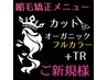 ★【艶髪コース】縮毛矯正+カット+オーガニックフルカラー+TR ¥15900
