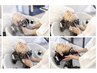 【ご褒美メニュー】似合わせカット&艶カラー&アロマヘッドスパ