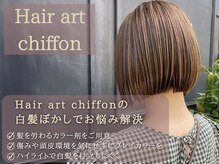 ヘアーアートシフォン 川口東口店(hair art chiffon)の雰囲気（大人女性に大人気。白髪ぼかしも人気♪[ハイライト/白髪染め]）