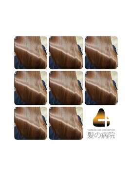 ブルーフィン シセロ(Blue Fin cicero) オリジナルのケアメソッドで髪をコントロール。