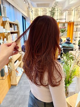 エイゾー(EIZO) 30代40代/バタフライレイヤーカット/ワインレッド