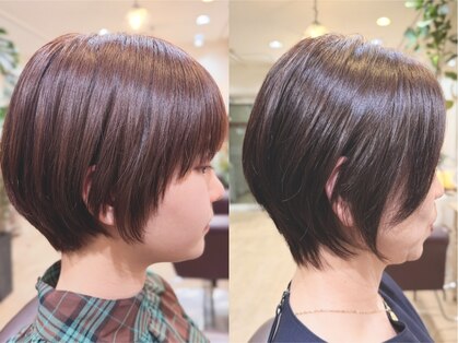 プラウドヘアー(Proud hair)の写真