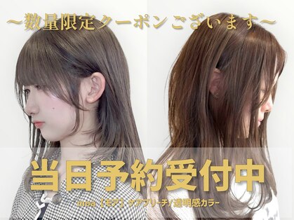 モア(moa)の写真