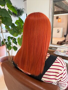 ラウレア(LAULEA) オレンジカラー