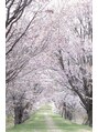 凪の旅先 カメラで写真を撮るのが好きです！