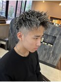シルバーメッシュ/ツイスパ