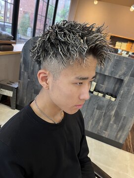 ヘアー ル シェーヌ ワンセカンド(hair le chene 1/2) シルバーメッシュ/ツイスパ