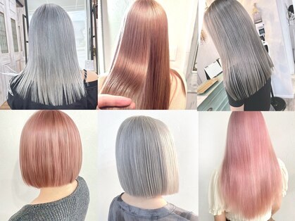 リコリス(licoris)の写真