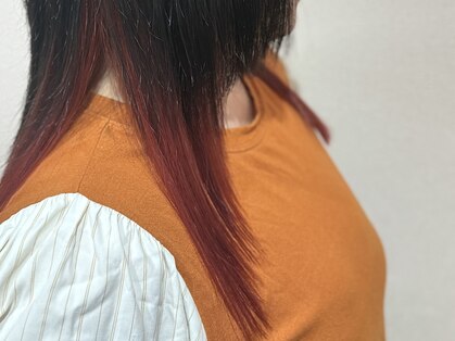 ロイ(Roy)の写真