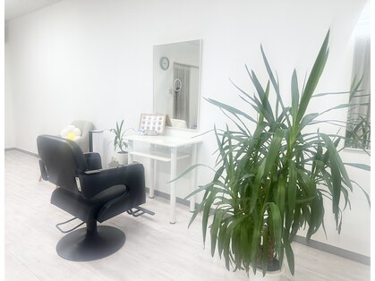 ダイア(D I a)の写真