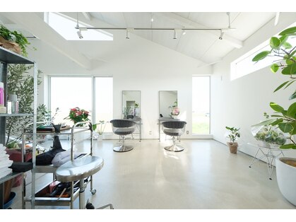 コフ(kopf)の写真