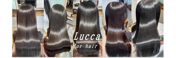 ルッカ(Lucca)のサロンヘッダー