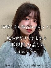 ヘアリゾート ディアリウム(Hair Resort DEARIUM) YouTubeでも紹介!似合わせドライカットとは