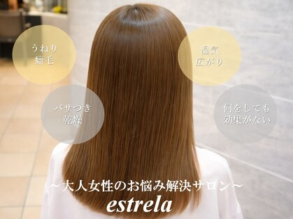 エストレーラ(estrela)の写真