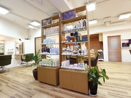 ルーチェ(Luce)の写真