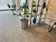 フォグ(fog)の雰囲気(fog)