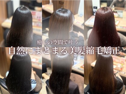 シーズンズ キノカ 三軒茶屋店(SEASONS 季の香)の写真