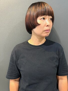 アルジャーノン(algernon) マッシュボブ