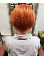 ゼットサロン(Z SALON) カラースタイル集３００　ー０３６ー　鮮やかなオレンジカラー