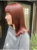 【noel】mayu×ピレンジ