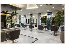 タヤ あざみ野店(TAYA)の雰囲気（自然がいっぱいのアイランドブースです！）