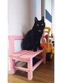 レヴィーマム(Revie mum) 黒猫